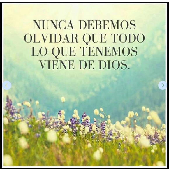 Meet your Posher, Rosa - Picture 4 of 8